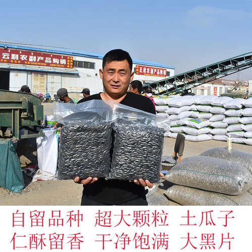 黑美人瓜子内蒙葵花籽新货火匠