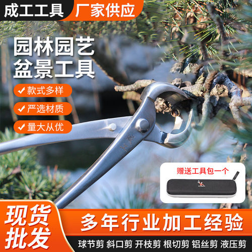 不锈钢球节剪盆景园艺造型工具修枝剪树瘤钳枝条花枝修剪钳球形剪