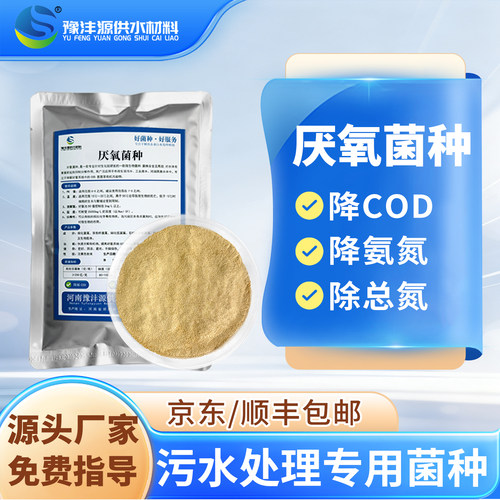 污水菌种好氧菌厌氧菌快速培菌