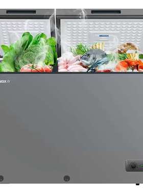 TXINGX/星星 BCD-288XR星星288XR