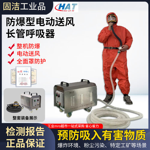 海安特防爆型电动送风长管呼吸器DSH-B空气防护全面罩