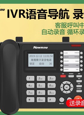 纽曼HL2008TSD-2086R办公商务电话机自动录音IVR语音导航录音答录