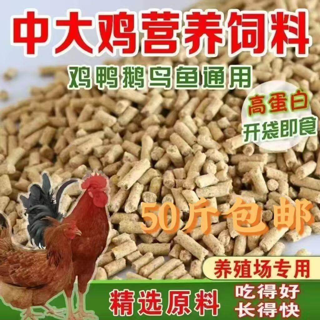 鸡饲料大鸡鸭小鸡通用谷子玉米钓鱼肉鸡育肥全价厂家直销颗粒鸡食