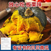 贝贝南瓜板栗小南瓜正宗板栗味老新鲜婴儿惠和一号单果300g起