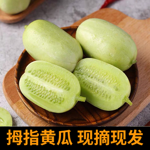 拇指金童玉女黄瓜新鲜小黄瓜水果小青瓜农家生吃2/5斤现摘现发