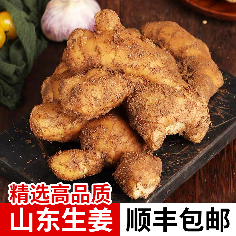现挖生姜新鲜5斤黄姜当季蔬菜嫩姜山东老大沙姜鲜姜本地顺丰包邮