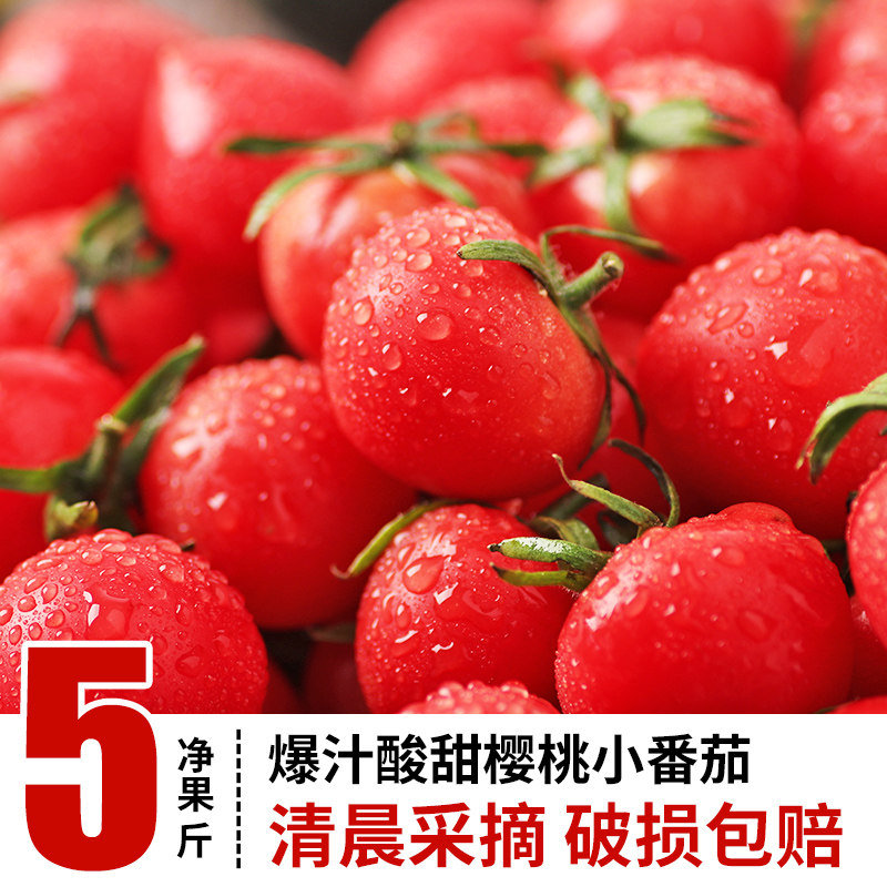 圣女果小番茄西红柿子新鲜蔬菜水果生吃5斤现摘现发,水产肉类/新鲜蔬果/熟食,番茄,淘宝优惠券,粉丝福利购,淘宝优惠卷