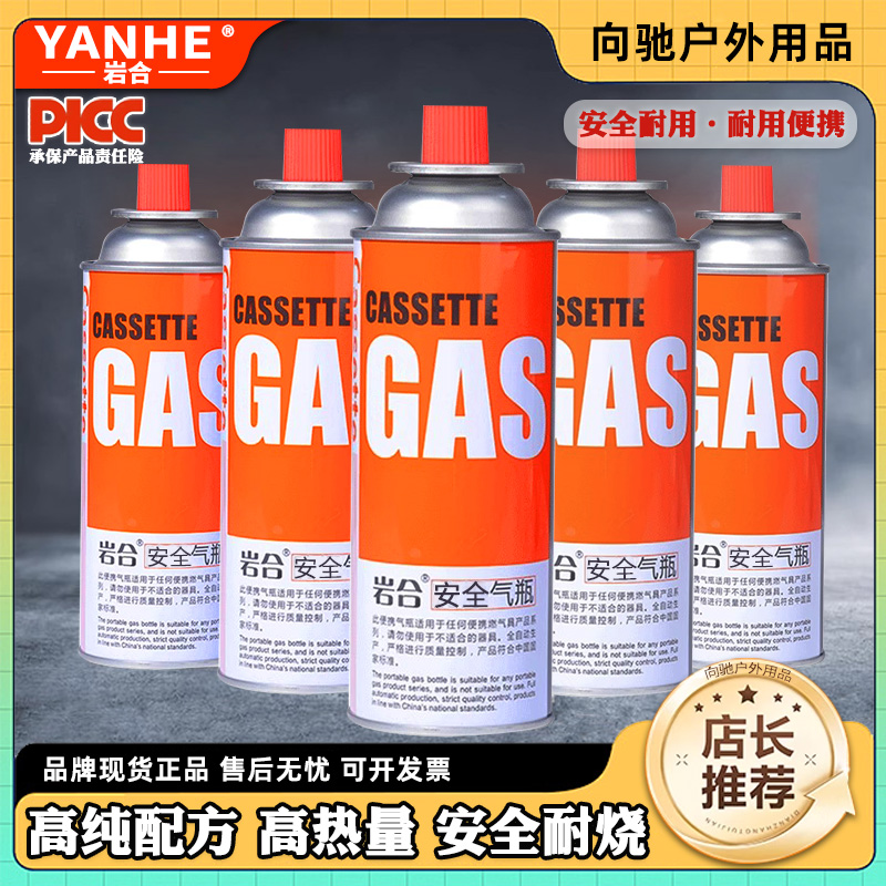 岩合防爆露营卡式气通用便携式卡式炉气罐户外野营丁烷瓦斯燃气瓶