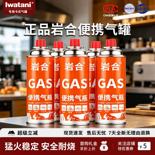 岩合防爆露营卡式气通用便携式卡式炉气罐户外野营丁烷瓦斯燃气瓶