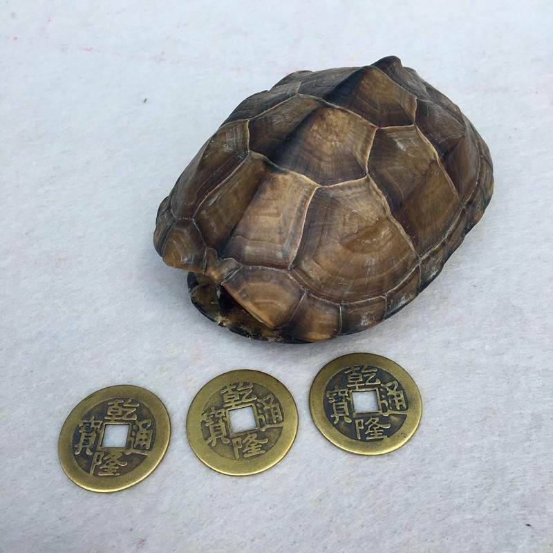 摇卦工具11乌龟壳龟壳卦爻卦签六十四盘太极八卦盘周易抽签上上签