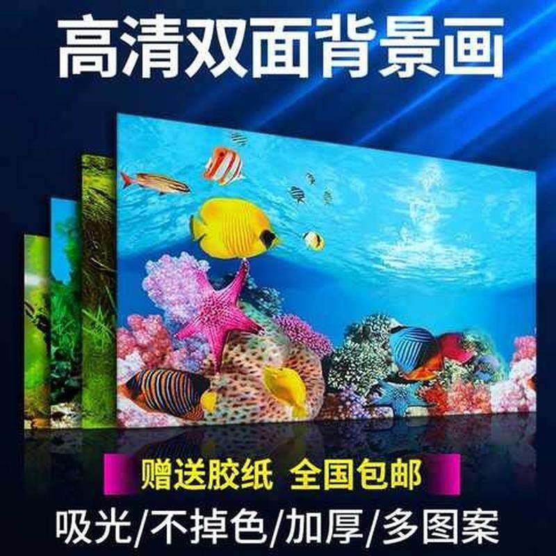 鱼缸背景纸画高清图立体鱼缸壁纸背景画双面水族箱装饰鱼缸贴新品图片