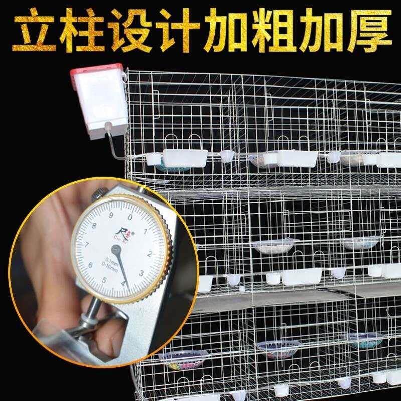 定制鸽笼鸽舍户外角铁鸽棚鸽子房大型养殖鸽子屋鸟笼双层防雨防锈