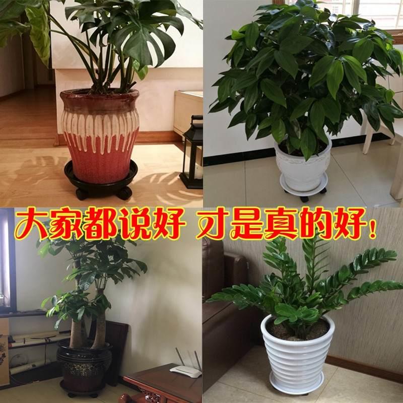 可移动花盆托盘带滚轮圆形塑料接水底盘底座花盘架万向轮花拖盆