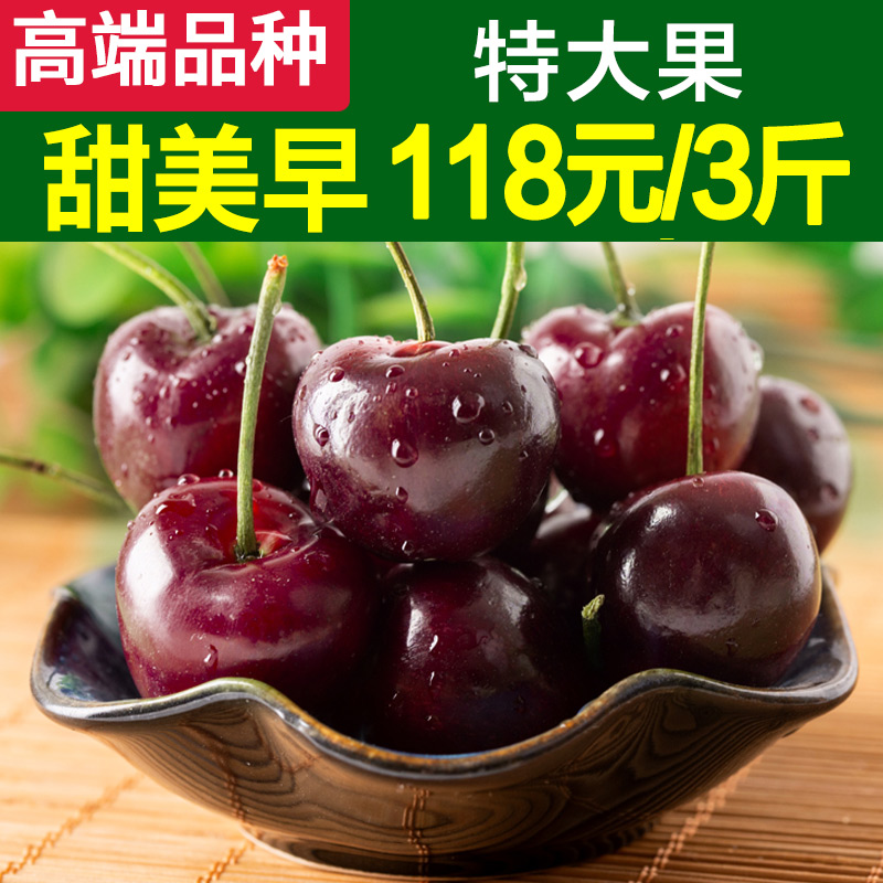 大樱桃水果美早新鲜山东烟台车厘子孕妇当季整箱