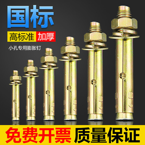 国标带孔膨胀螺丝小孔专用钉