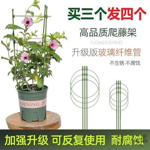 爬藤花架园艺支柱架阳台绿萝月季铁线莲藤本植物攀爬蟹爪兰支撑杆