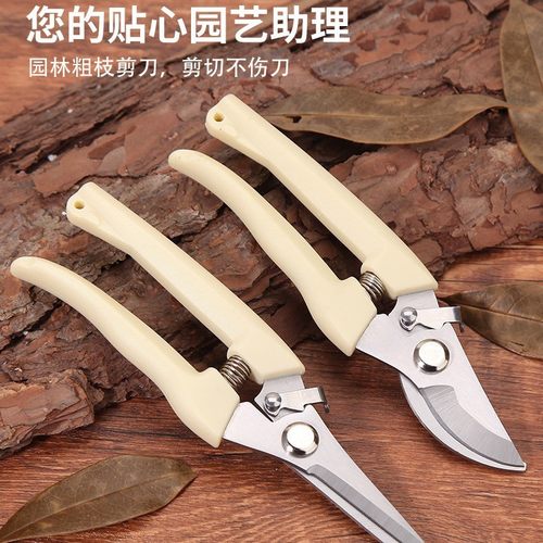 剪枝果树修枝剪刀园艺园林修花枝剪家用剪子花剪剪枝剪刀不锈钢