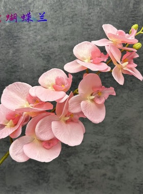 3d打印9头涂层绢布蝴蝶兰仿真花婚礼家居装饰布置假花摆件