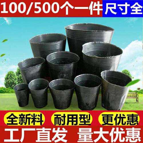 玉米营养杯家用园林简约育苗播种芽苗育苗袋培养绿植花盘加厚养花
