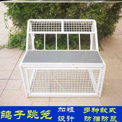 鸽子用品用具鸽子进门器撞门活络门只进不出跳笼进出门诱鸽器信鸽