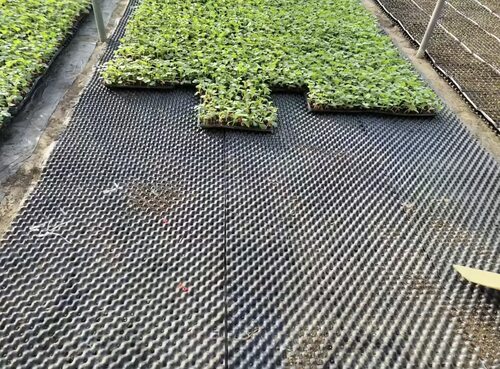 多规格控根器围树围栏绿植控根养根排水树苗固根圆形树木木围树阻