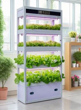 家庭阳台无土栽培设备水培蔬菜植物工厂立体智能种植系统机架柜箱