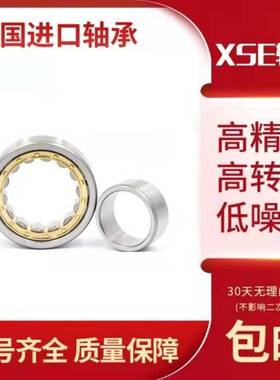 XSE进口轴承 N NU NJ RN NUP 203 204 205 206  EW EM C3