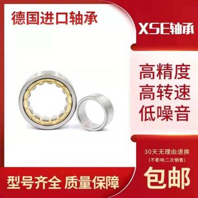 XSE进口轴承 N NU NJ RN NUP 2304 2305 2306 2307 EW EM C3