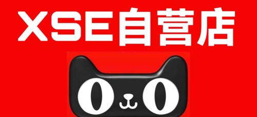 滑动XSE垫片轴承全新精品