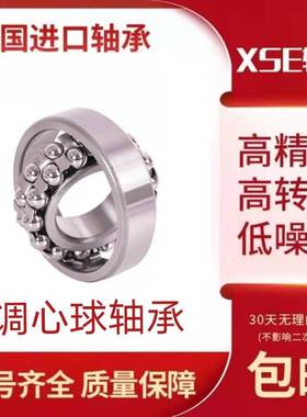 德国XSE进口轴承1304 1305 1306 1307  K 密封双列调心球轴承