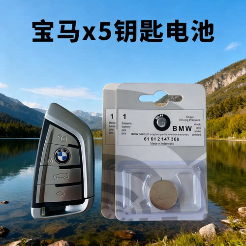 CR2032宝马专用纽扣电池