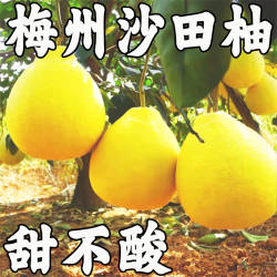 梅州正宗沙田柚子梅县南福金柚新鲜水果广东冰糖柚碌柚非容县