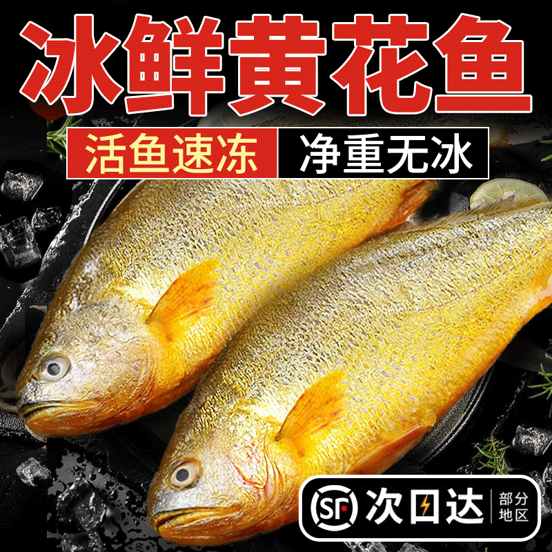冰鲜大黄鱼鲜活冷冻宁德黄花鱼新鲜海鱼速冻黄玉鲞海鲜水产商用