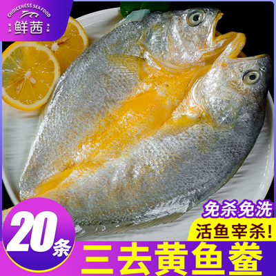 冰鲜黄鱼鲞大黄鱼三去冷冻开背大黄花鱼生鲜宁德海鲜水产海鱼商用