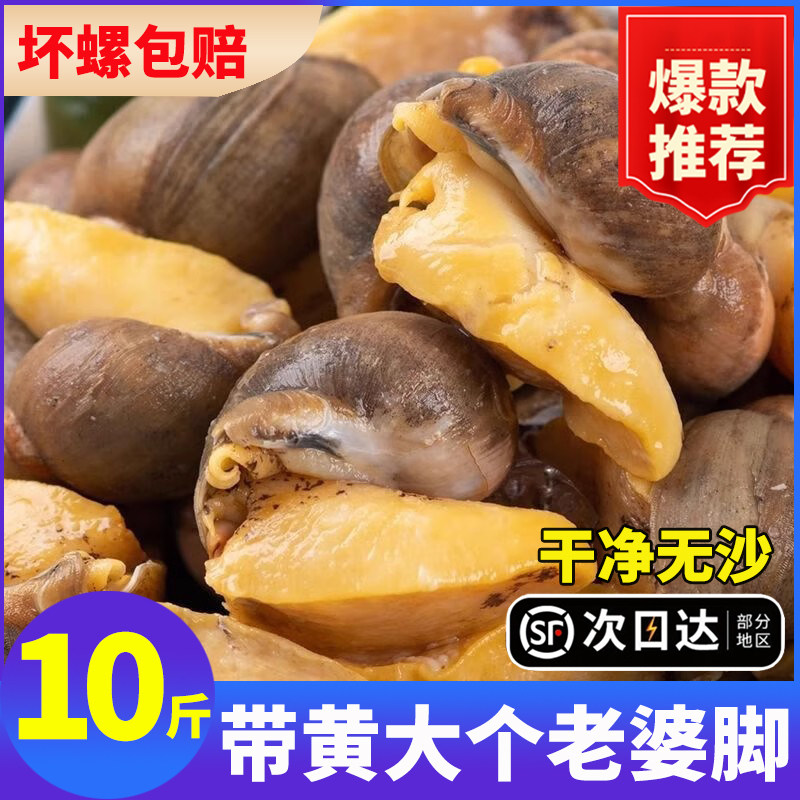 老婆脚鲜活熟冻鲍鱼螺冷冻珍珠鲍速冻鲜有黄鲍鱼螺黄金鲍捞汁原料