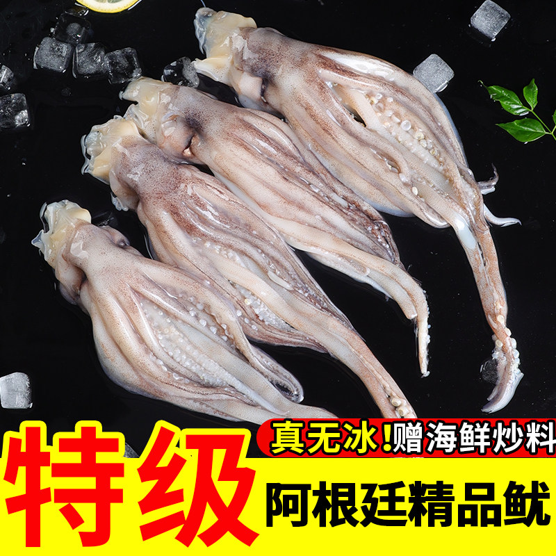 鱿鱼须新鲜鲜活冷冻生鲜二本足章鱼尤鱼铁板鱿鱼烧烤海鲜商用批发