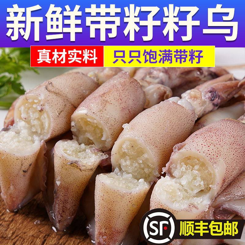 满籽带籽笔管鱼籽乌鲜活海鲜水产真籽纯籽籽乌小海兔笔管鱼小乌贼