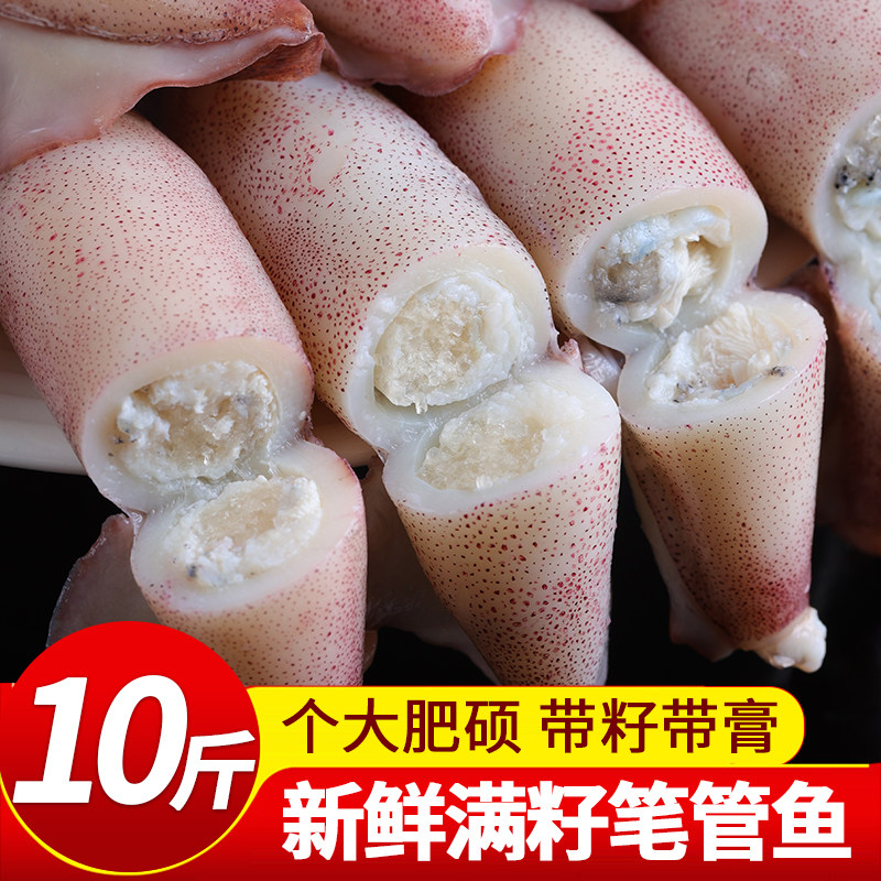 新鲜笔管鱼满籽海兔子鲜活小鱿鱼火锅食材商用海鲜水产小乌贼鱿鱼 - 鲜茜旗舰店出品