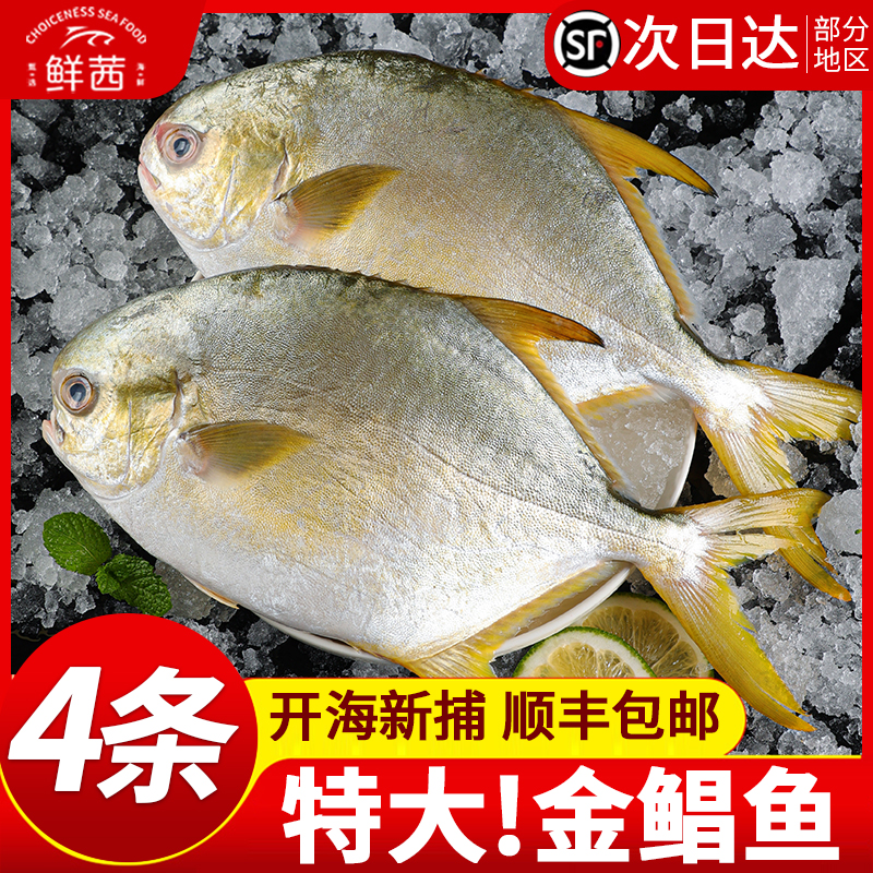 顺丰包邮冷冻鲜活特大海捕金鲳鱼