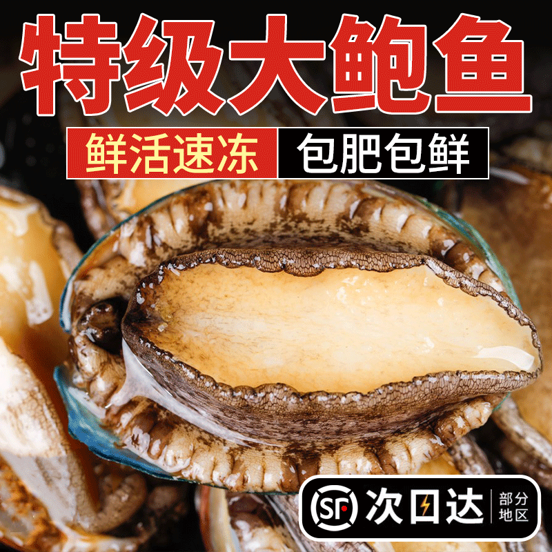 鲜茜鲍鱼特大鲜活冷冻鲍鱼