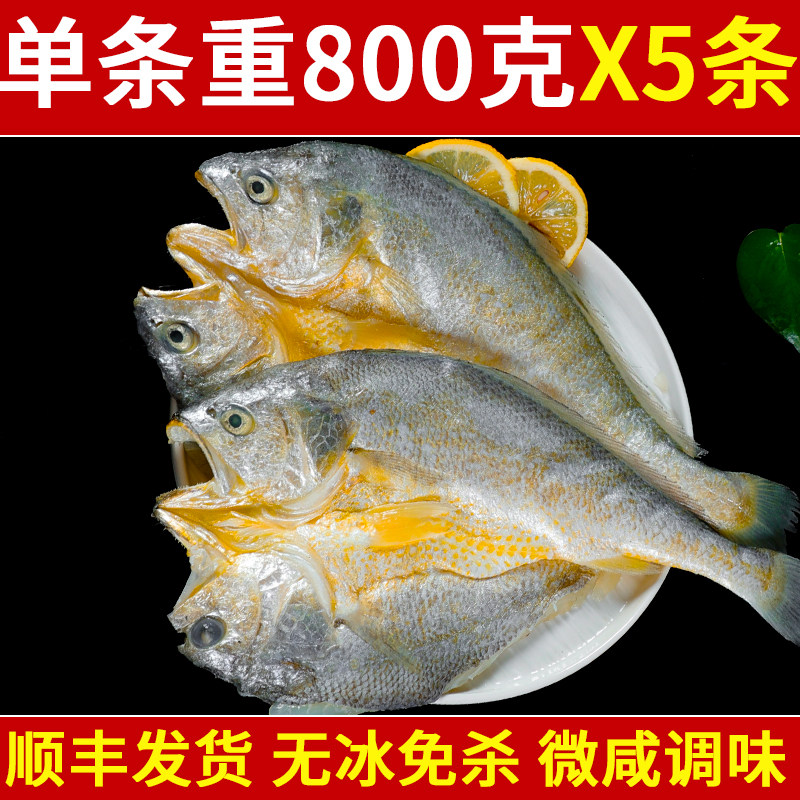 开背大黄鱼三去冷冻冰鲜黄鱼鲞大黄鱼生鲜宁德海鲜水产鱼海鱼商用,水产肉类/新鲜蔬果/熟食,黄鱼,淘宝优惠券,粉丝福利购,淘宝优惠卷
