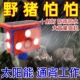驱兽野猪驱赶神器超大音量狗叫太阳能爆闪灯夜间农田野兽报警器