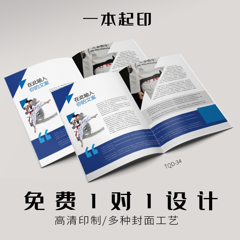 武术跆拳道招生培训兴趣班宣传画册产品小册子说明书样本图册目录广告
