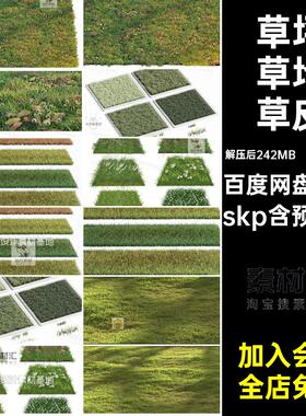 四季青草剪草皮缕SU草果马尼拉颖岭股百慕大skp草地结草坪模型