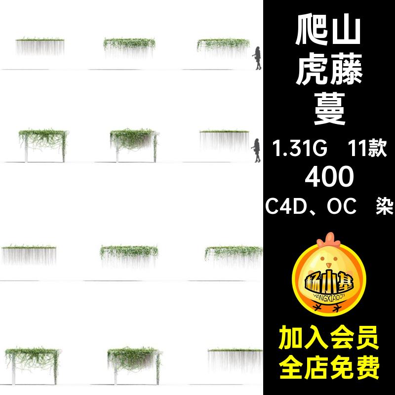 花草植物藤曼MX模型室外藤蔓素材爬山虎渲染观赏COCC4D OC渲染