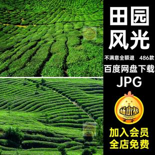 茶山绿茶JPG素材茶叶茶园乡村486款美丽田风景田园风光大图茶叶