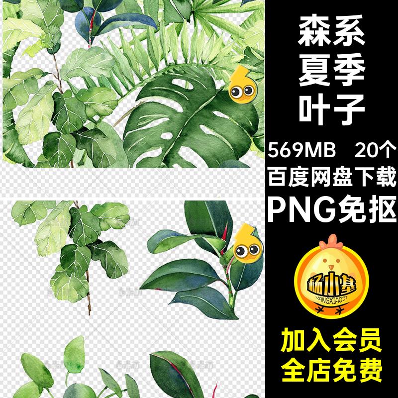 植物树叶免叶子20个手绘png图片素材抠系ps盆栽水彩夏季森装饰