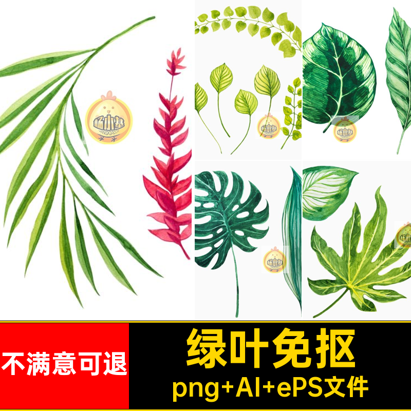 绿叶免抠矢量图片素材热带手绘ai植物水彩树叶子png龟背竹ai手绘