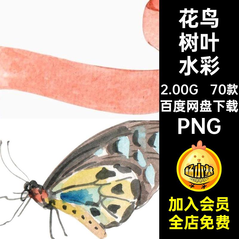 花鸟树叶水彩抠设计贴画素材装饰免海报春天透明PS剪70款元素底纹