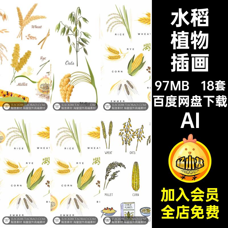 藜植物插画AI插图黑麦素材大米小麦荞麦燕麦小米高粱18套水稻手绘